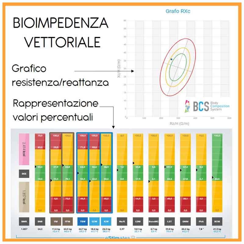 BIA Analisi della Composizione Corporea - RedFitSpace