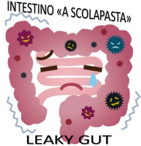 leaky gut